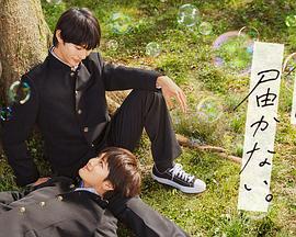 seo和zac哪个好用